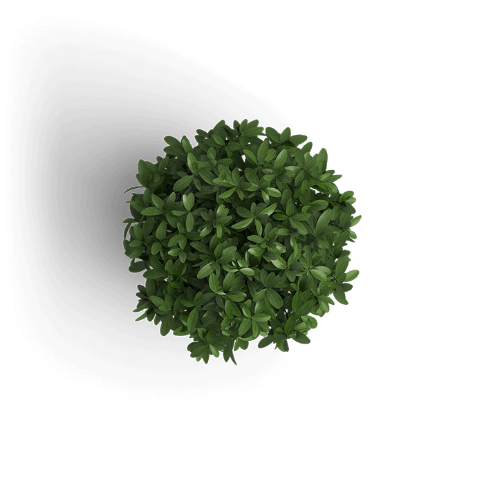 object_plant_1
